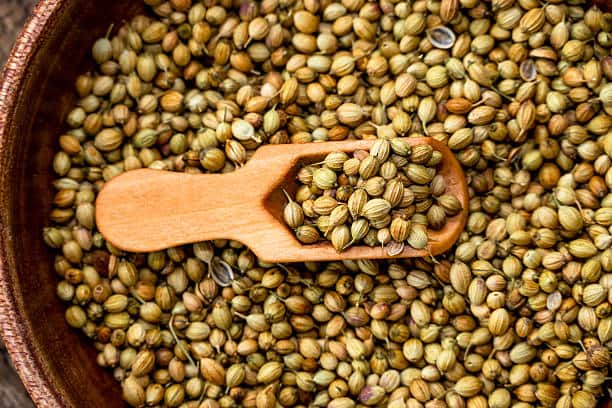 تصویر 2 از قیمت خرید تخم گشنیز ترد + فروش ویژه